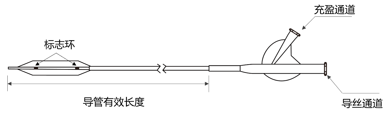 周游? Voyaging?球囊擴張導管(圖1)